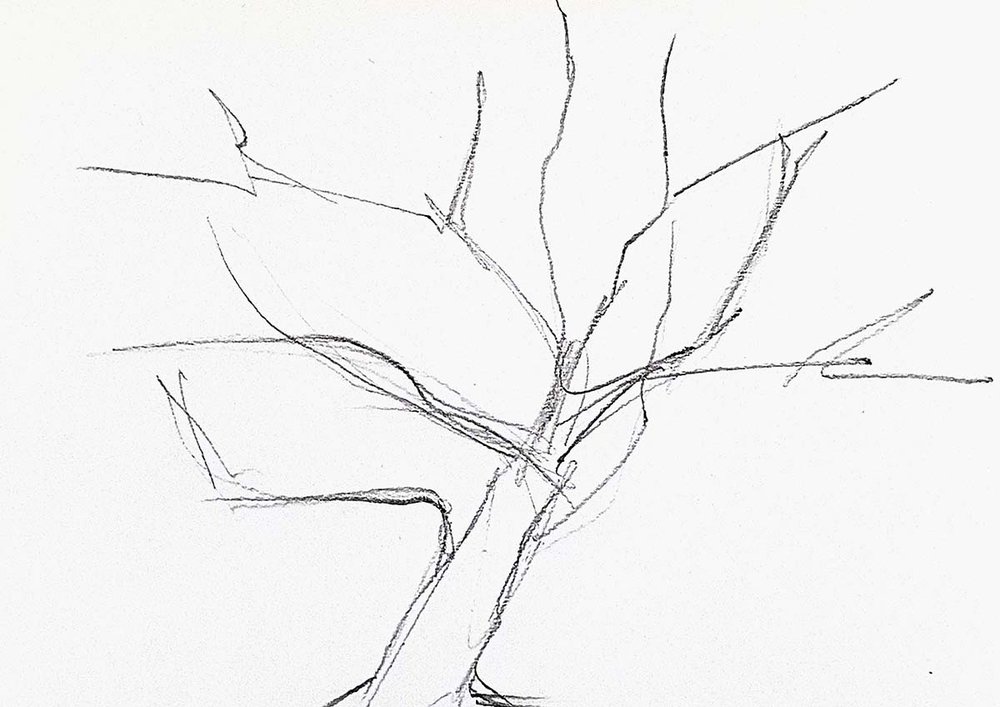 How To Draw A Cherry Blossom Tree Super Simple Step By Step Tutorial